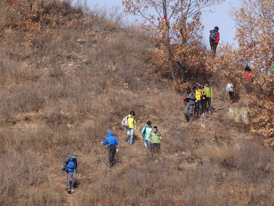 a24fda8b89aac03aacf59e21bb353981_org