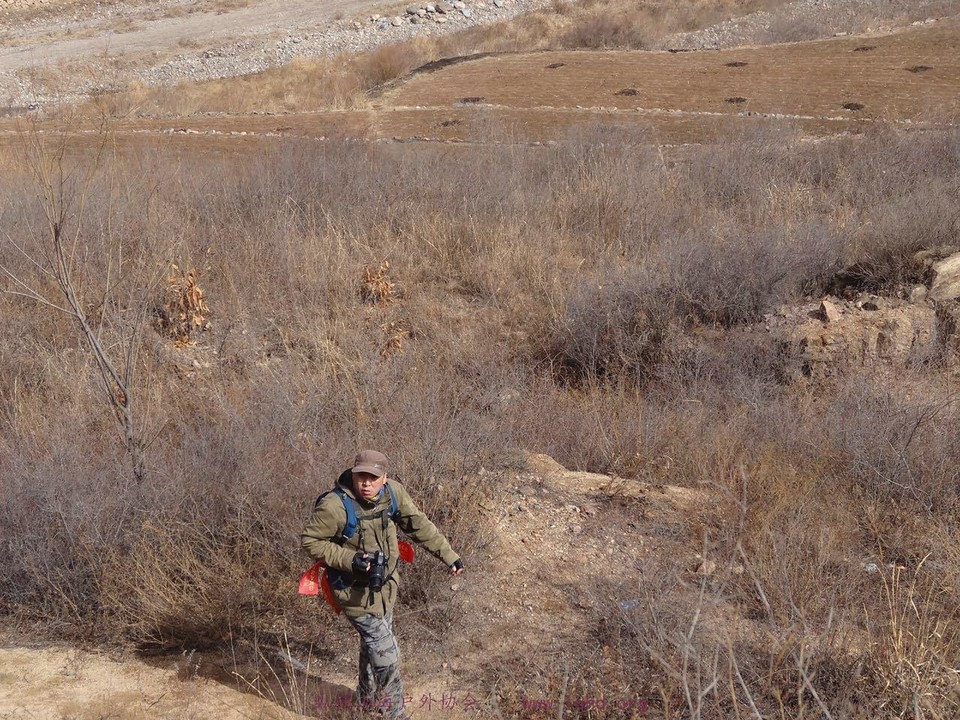 e66c96dd3544f2a70998fb3a913fb111_org