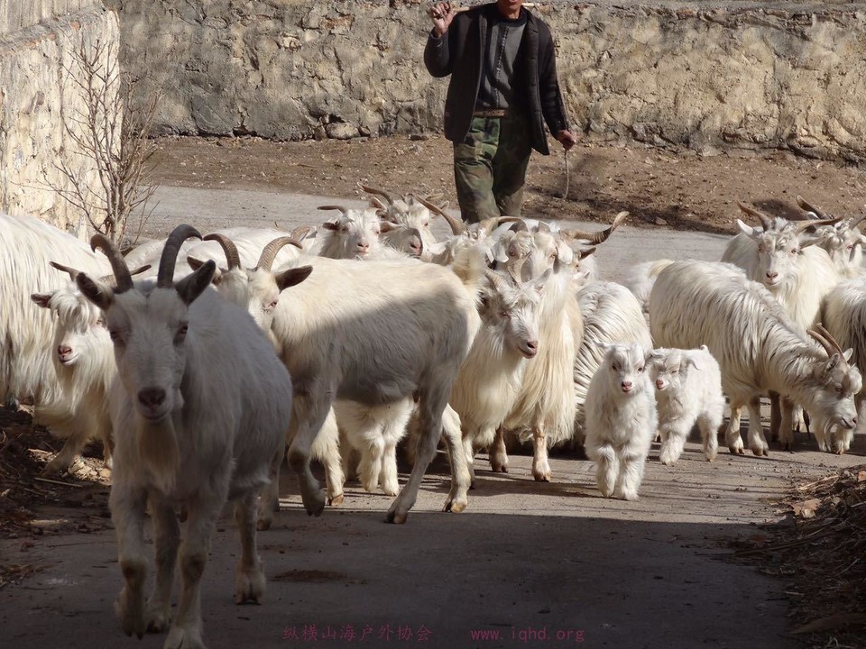 fc59277236351453eaa3d53962b9148e_org