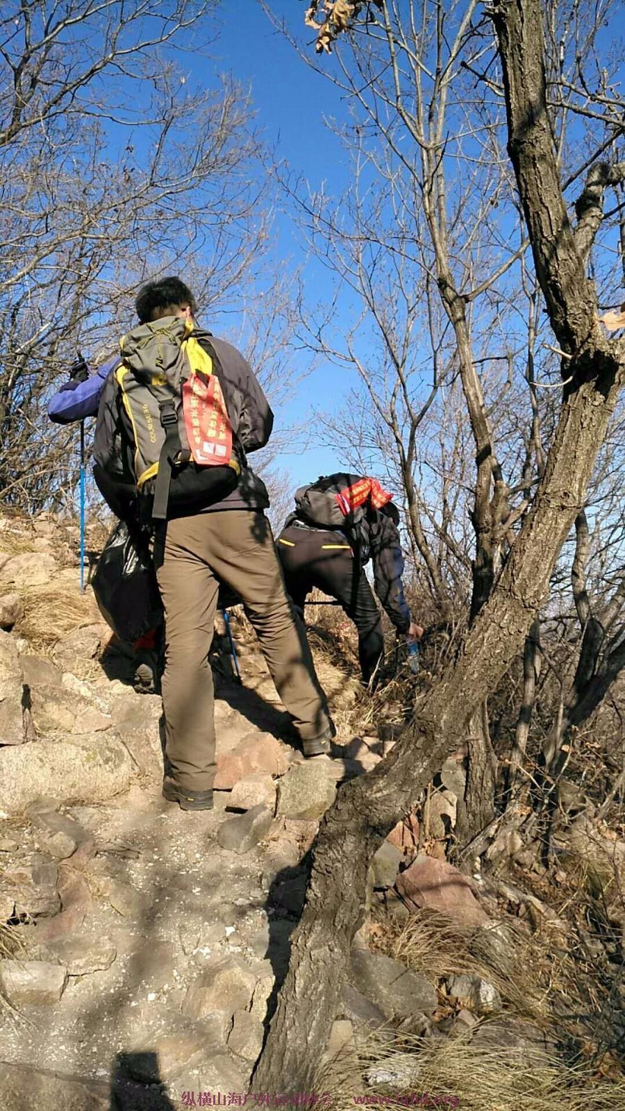 mmexport1514894798543