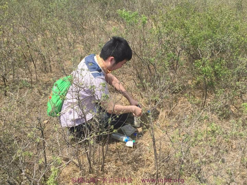 mmexport1527951289458