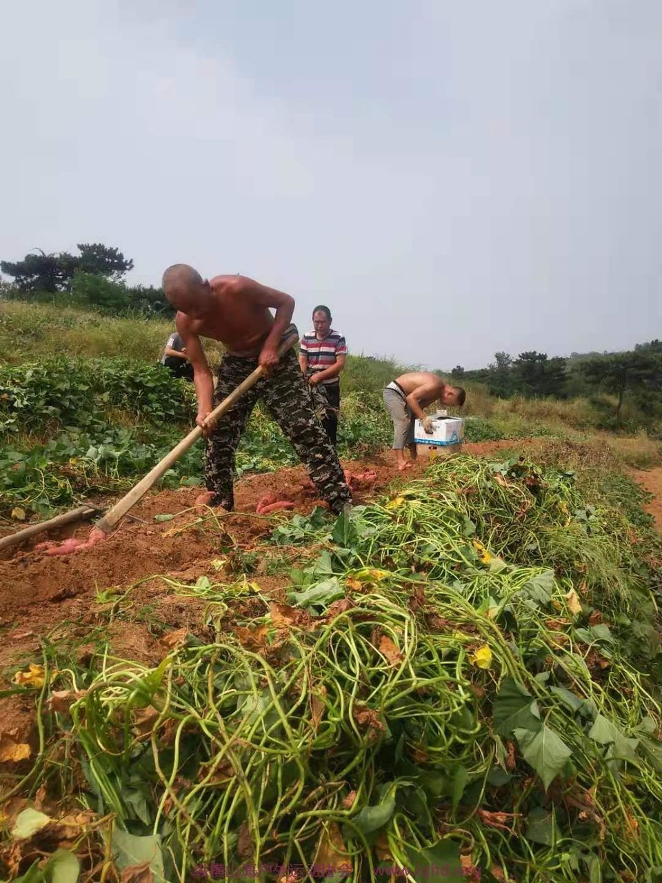 uCW0h-zj-v6h8A7nH46M4YGOsBnTs7joJX47GMCiMSU2dXRMHOfmNn1Lz4kYmFt-