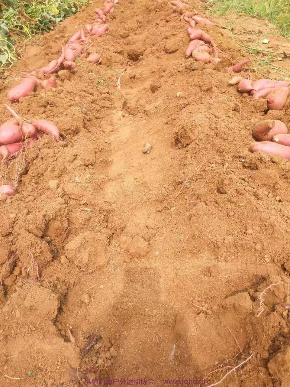 5fkJsILb3jzXsq-rgSUh-97uTpGZuhxBV5DalHRWXxjIZVoStJCVvPQGly3GCcJq