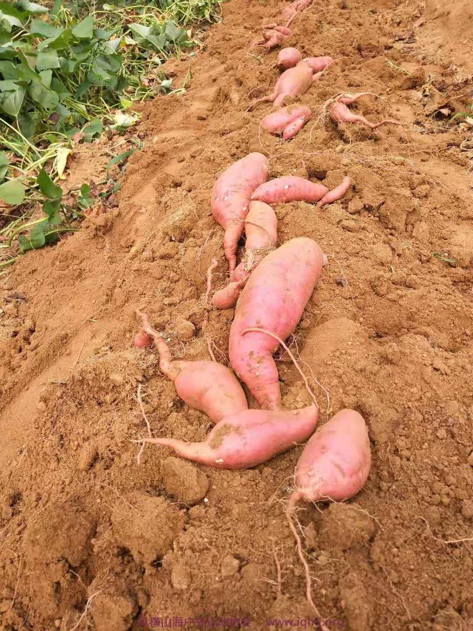 N7Azz3pHLcYaKFC-rSKxkdu9zEFrGYs-GybgYP5_VdqxhTuoMez2RyZGB9DhfSc3