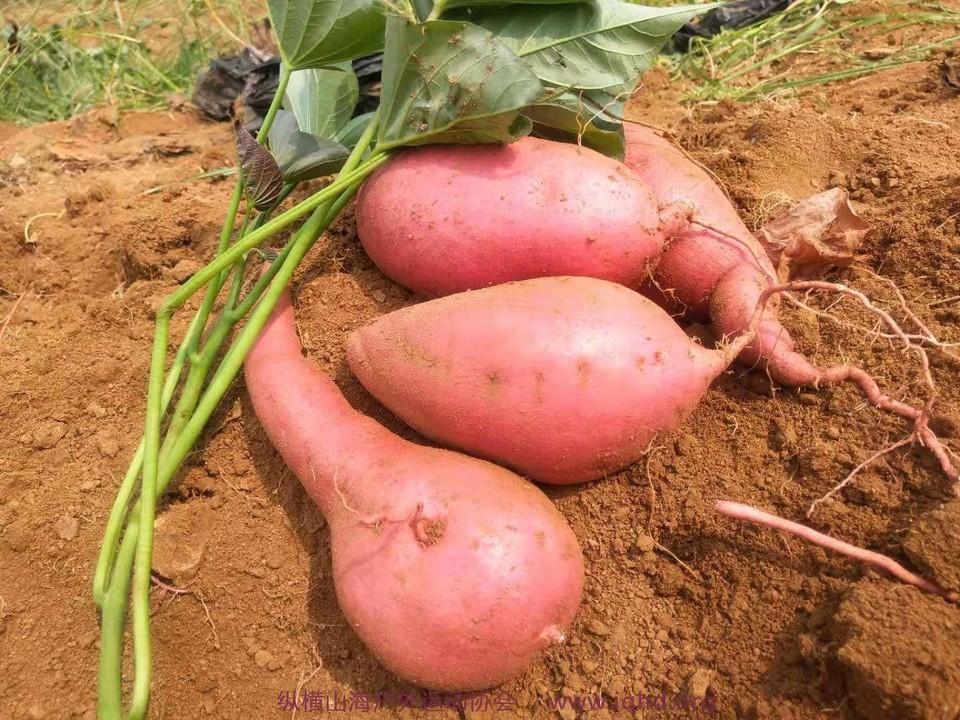 lUshLo2YIydzyol_GqHbbEk3GhFKjerO3EmMmUiUP4QzidbpACiTQCCau4UtZo80