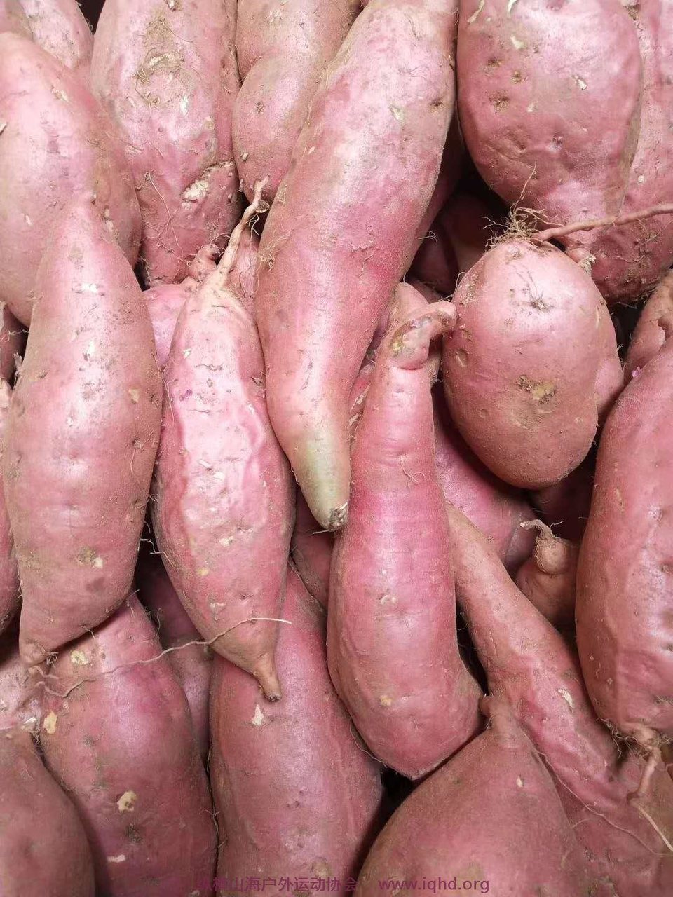 sGE8vstUYeXYFLn7O8jQXqNhwuV8ZdVK0yCYL5QhDl_9LYhKIYFUxGS5DZJHGmOL