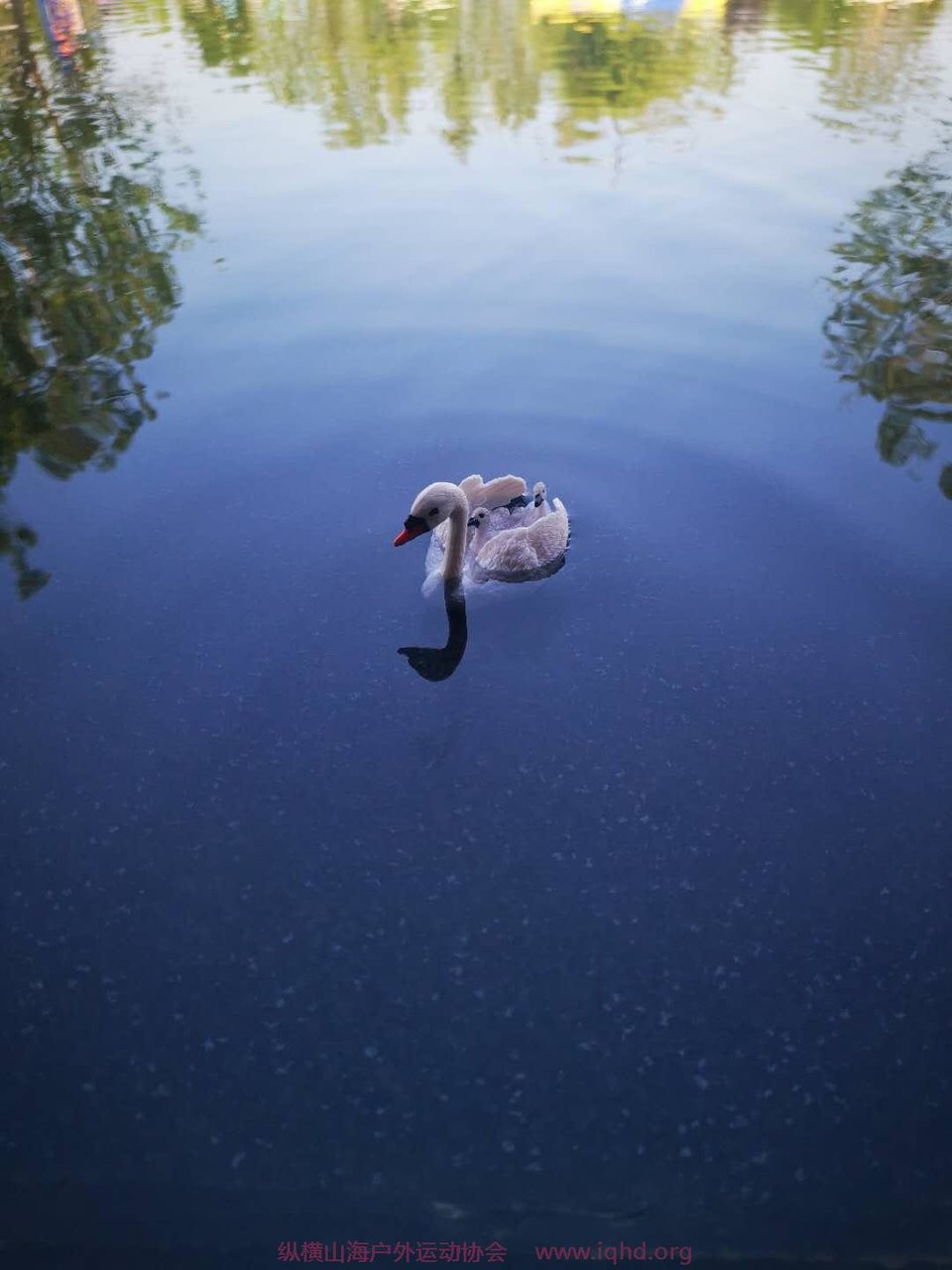 微信图片_20200725140334