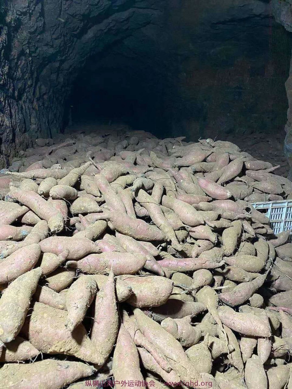 dk-1Us30QzyJmjRBn2gSGHULvpOuhmEY5Sv7PF6idV7sHktvG3bEHRCMb9myepGb