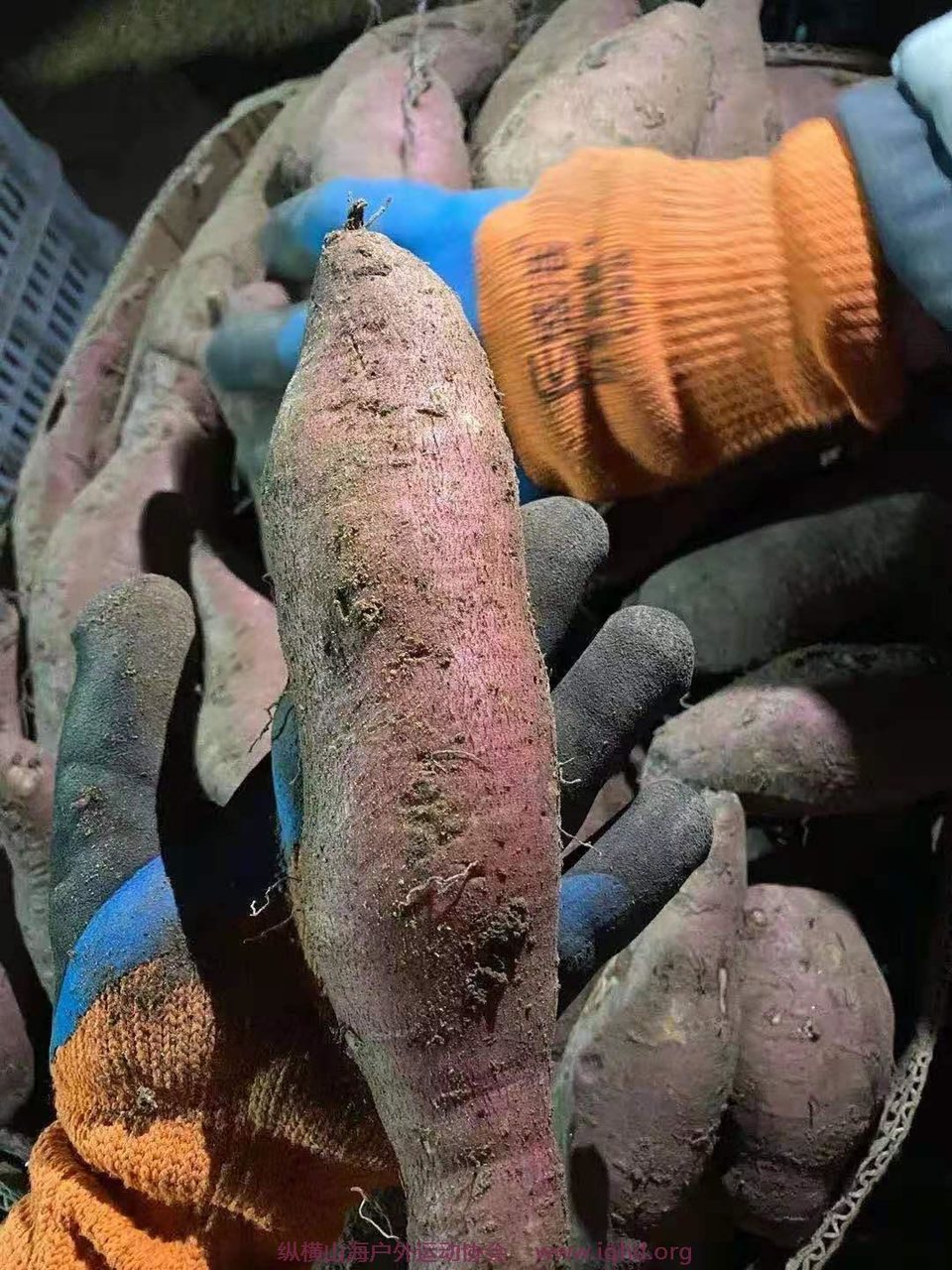 p7uyOqdD0tfFnqAR8GoATCzNlF9HiT_cDKliSsS_tF_fHoFIsYUeO2A6ebZpeyCc