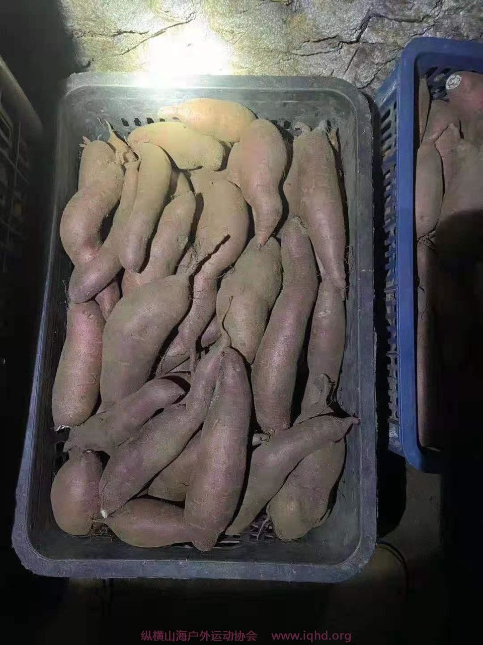 rmptf81cjNRC_YX1VglVYDOu1OgV39W2F_tN2hOO27VZvKb2iJW01bnOWNvghJ3H