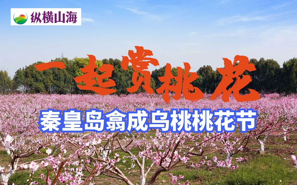 图怪兽_cdc6f8b1845edd83be64451849fa02c9_99173