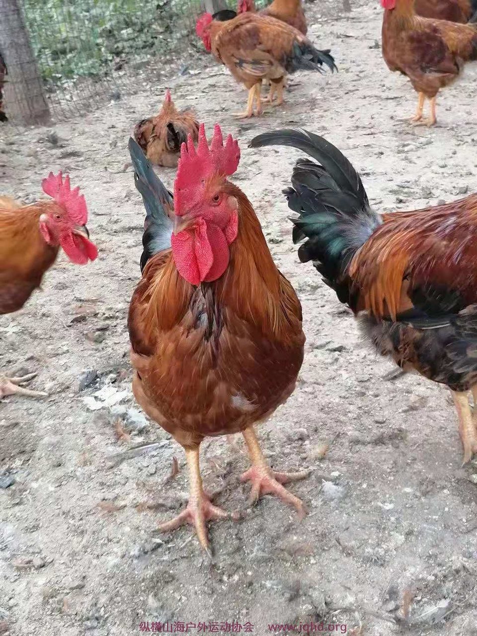 3LQwgwNh4YQSkT1kPNAbs_MDkyiJhUzMs1S-ronQsjj5JV6JUh7j6jIWfbedNXZQ