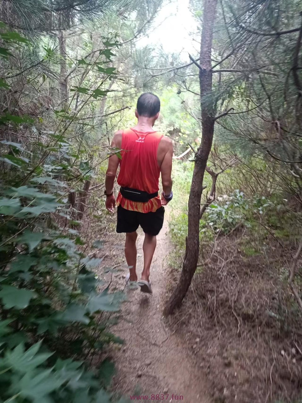 dIYtwCenAAr_YViMykvFvQiWY3yc3ylKfl6GfnS5N8YxlNIjlMEWklDpai1xH17W