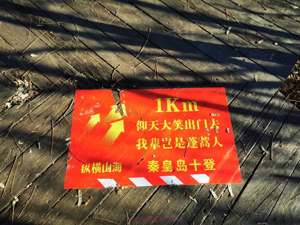 MM46s-OqEwK6oKj_cDhHSf4Knq6dOJqLWuof3RVoeloVLPX0SmiR0-F0ojF4ob8F