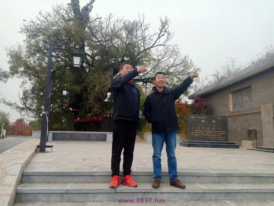 MM46s-OqEwK6oKj_cDhHSQufgdKW9pxHZJf7fdz9oCqC91pe_VXG9EnXbhZjq3QM