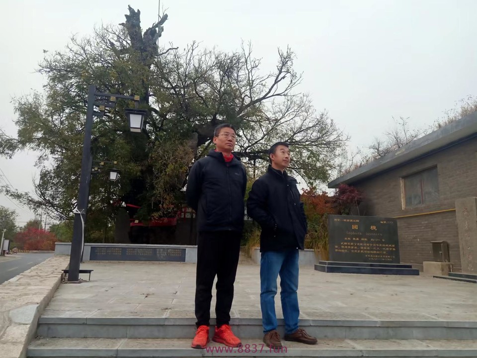 MM46s-OqEwK6oKj_cDhHSavardxJ4EUrJPbXDIMAl8adJkko2-NQ1ENX9hW2BIVP