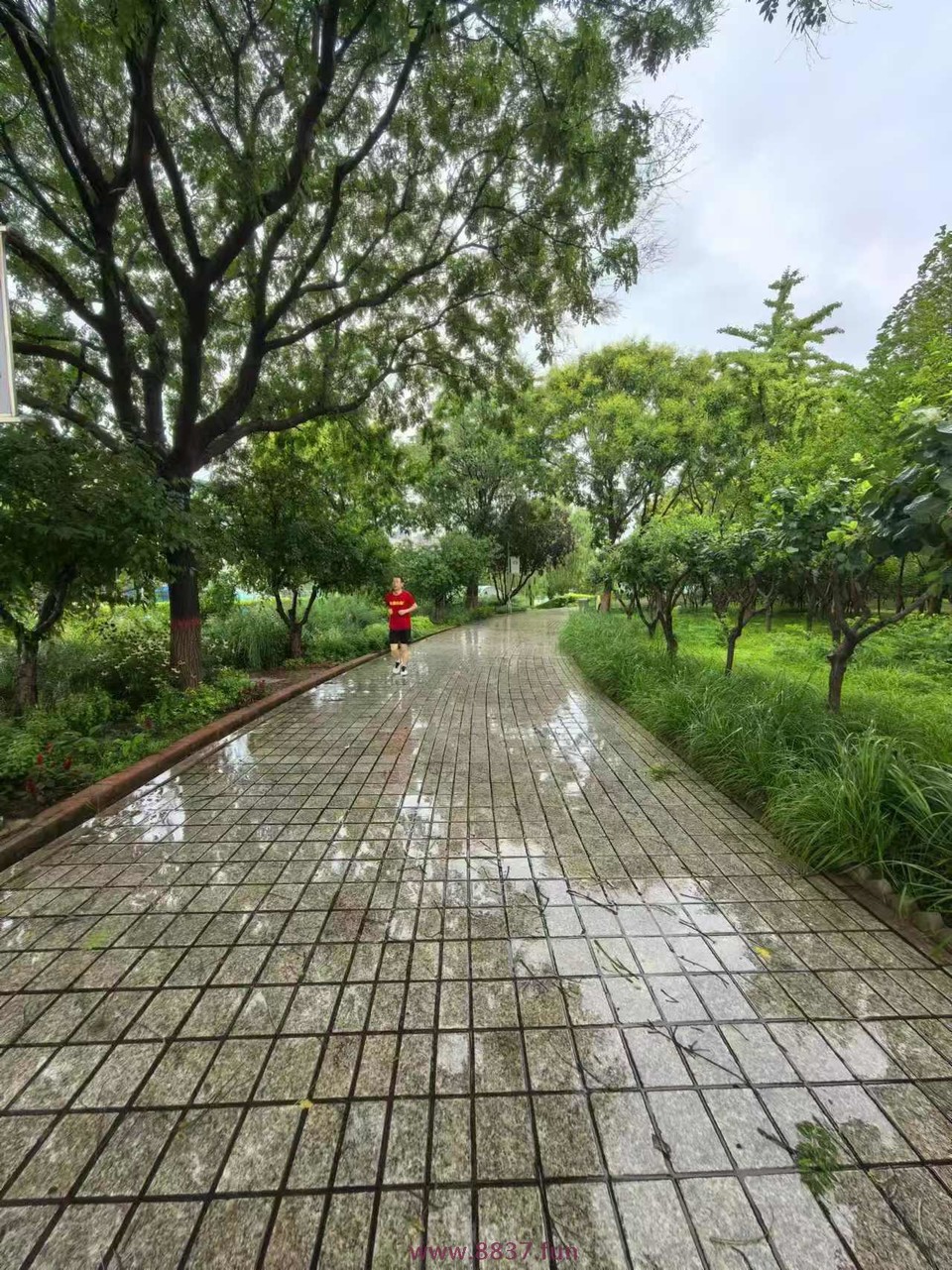 No1COEHVyoq-XHO5M8n9OUKSOGR6jtyaXk2GSxxL8e8zbebalj_pg8amLvXLpnis