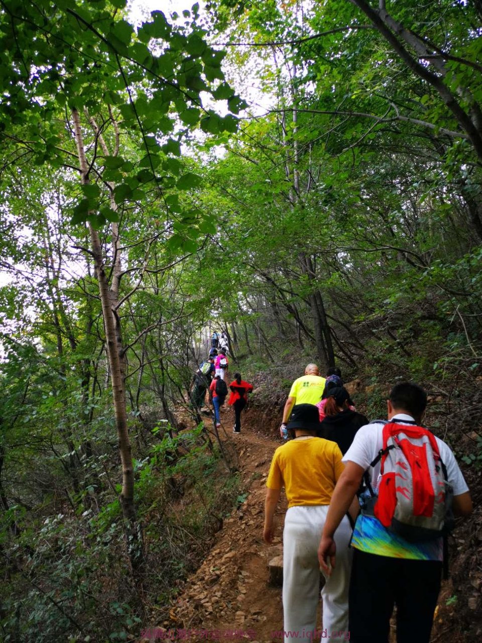 BgQgzfL-afKRQQ4ZglOqf8RhraTo3r4VDouhogCJllfXB267dTbEZSVqb0kYURJ-