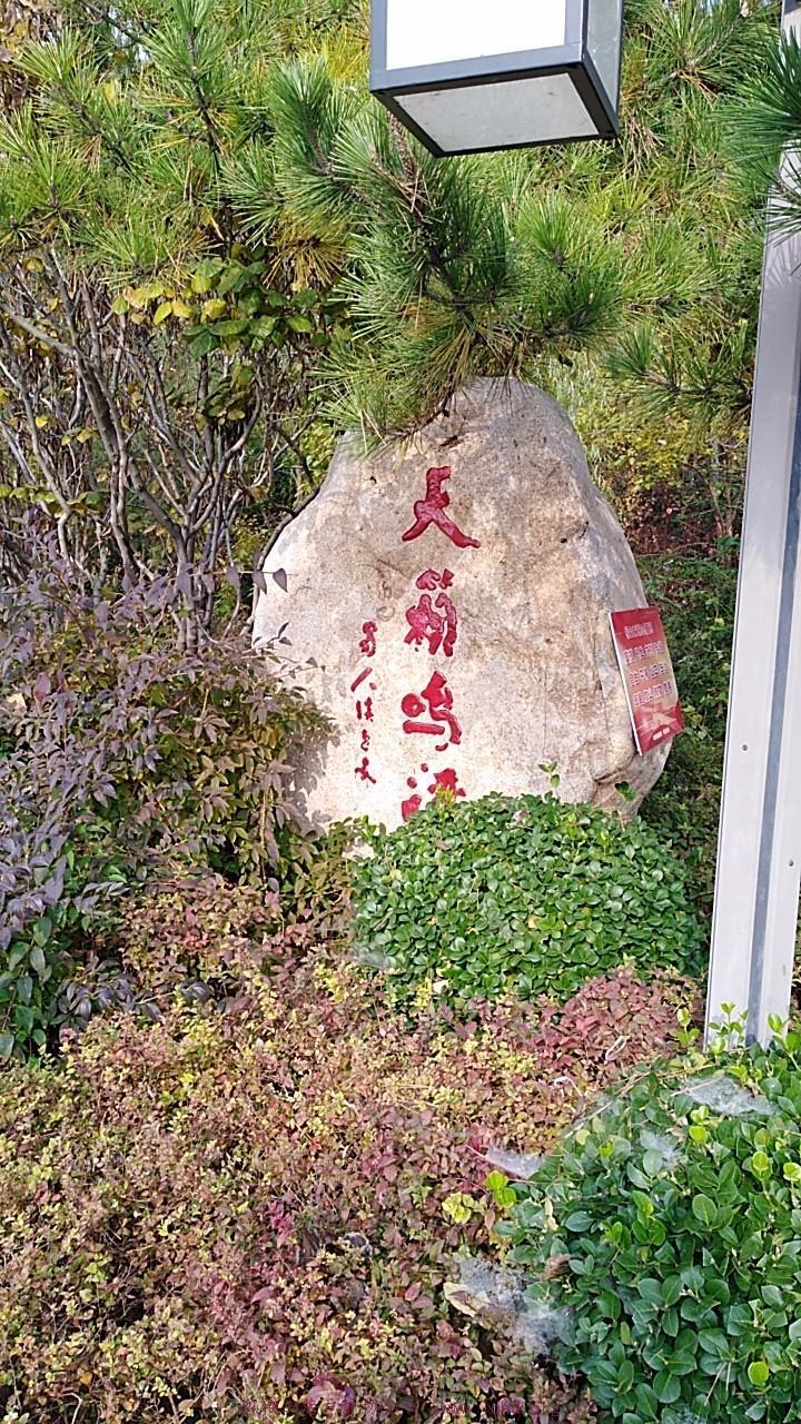 wx_camera_1509155520331