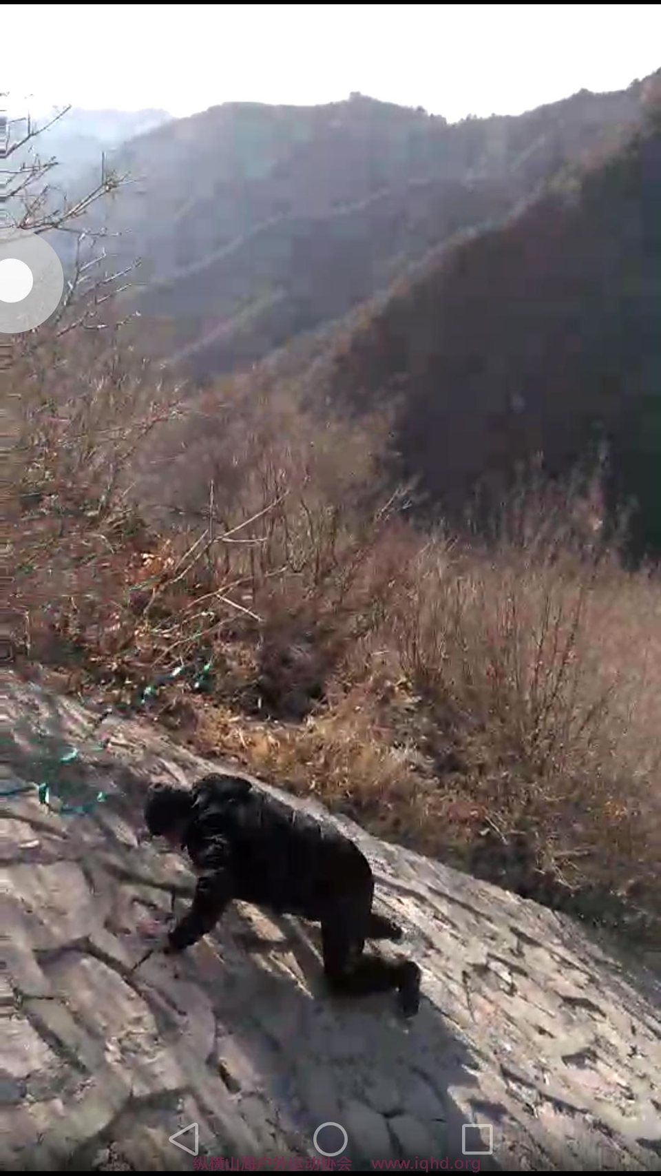 Screenshot_2018-01-03-18-58-54