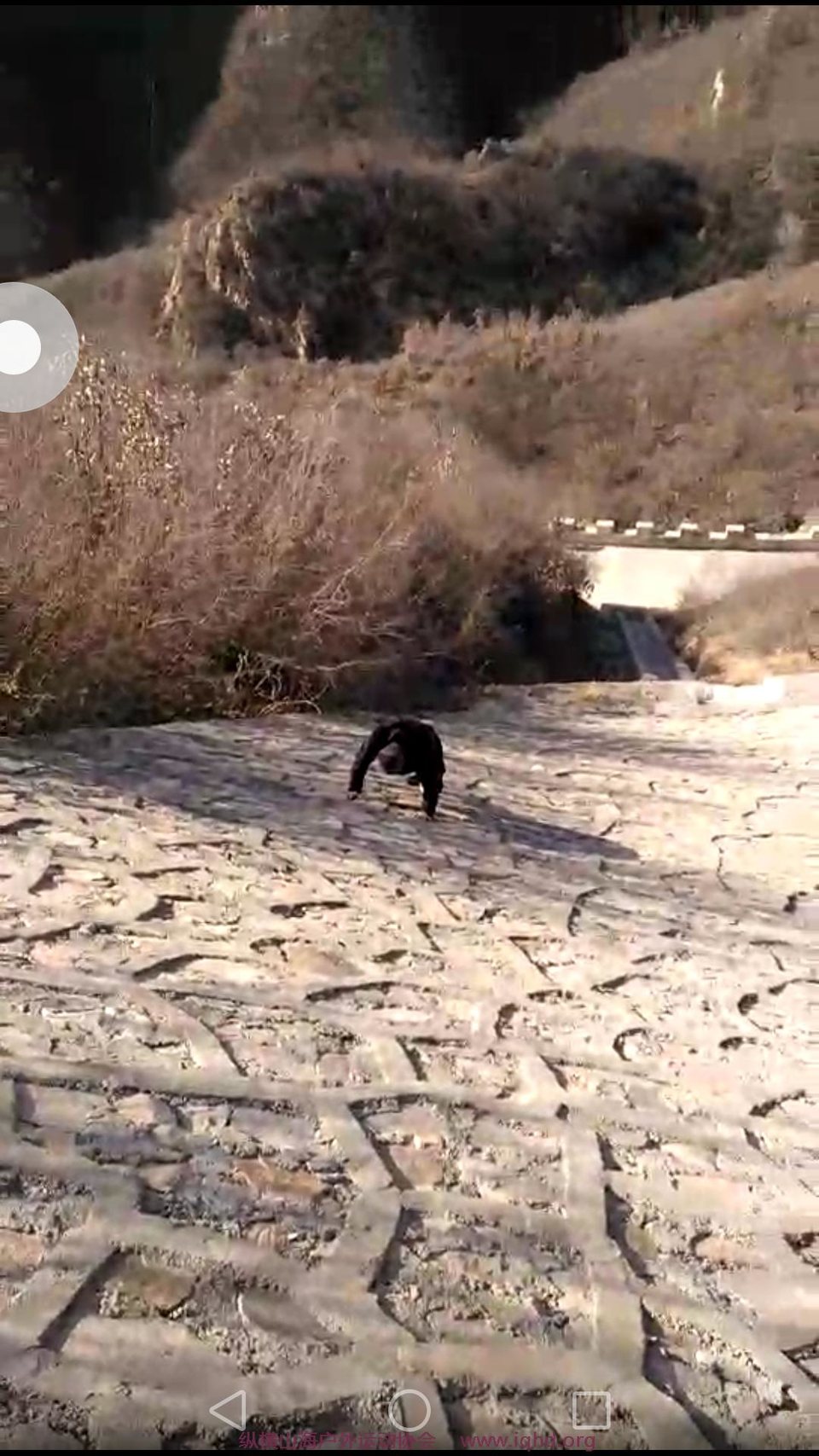 Screenshot_2018-01-03-18-59-04