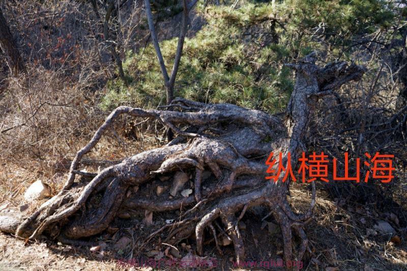 mmexport1515238320380