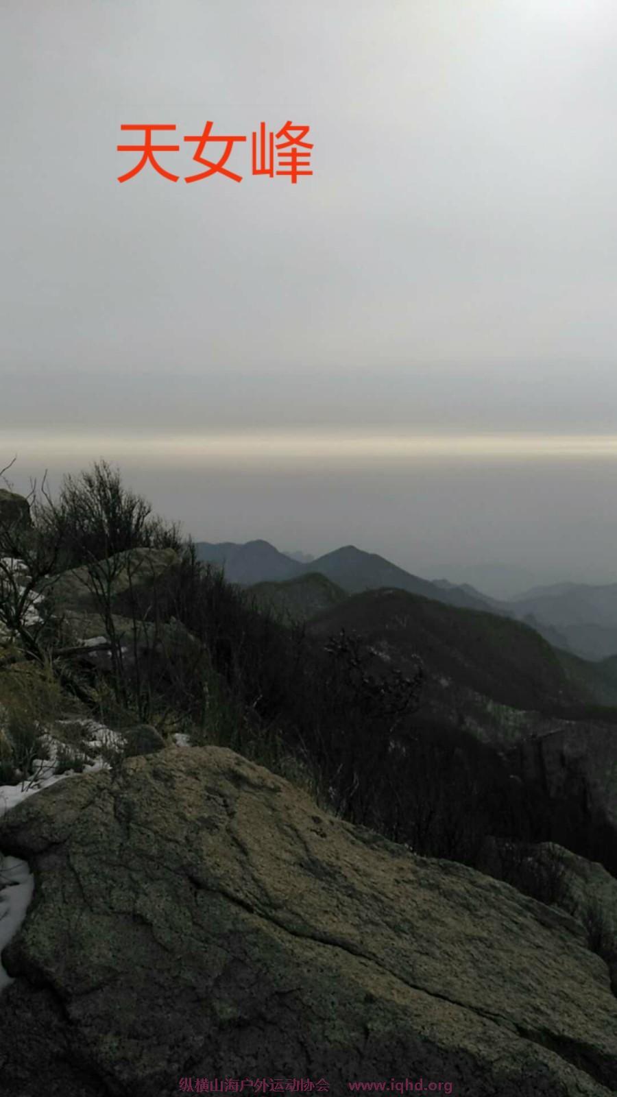 mmexport1517053445716