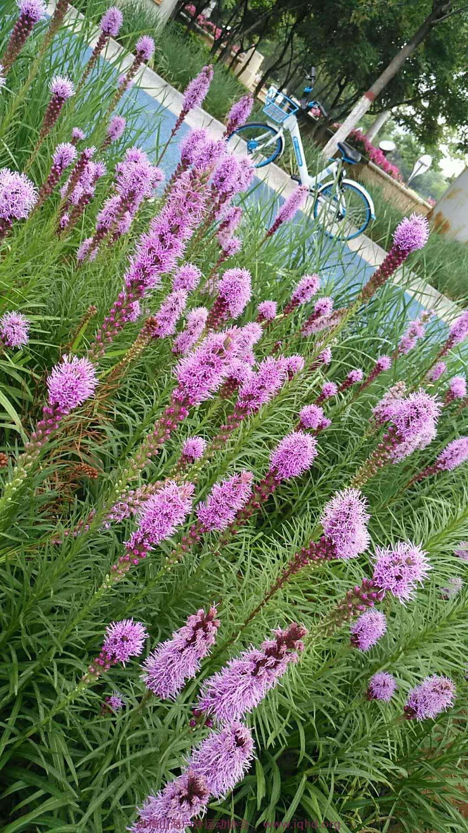 M5Au8Iu13TedQFA-ga3d8xn-Ni_JBG6LH-2qUrpNKCmFYQUUolKevwRds8eTZO7V