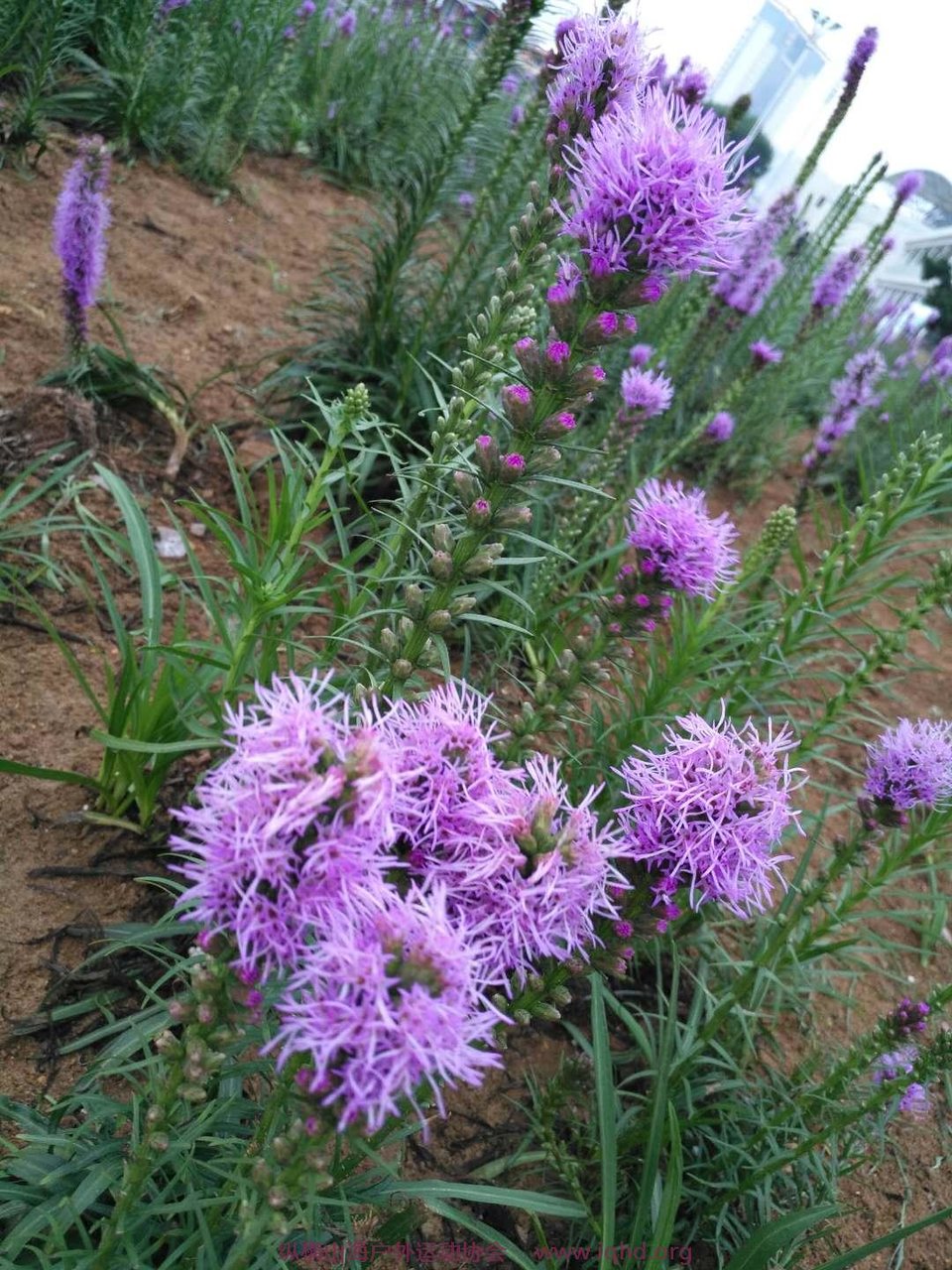 uCW0h-zj-v6h8A7nH46M4YKRBEwBHR_5wBPBFCoD2IhifJgHgxTBvOPHPnepn-aI