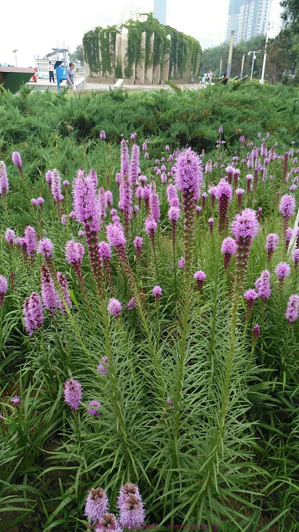 MXtJlUFvnbGYr5WXE5V3wrMzPjVrhivqNtWdTzO-oIrzQRu_xo6LiCWPL9Xd8sXp