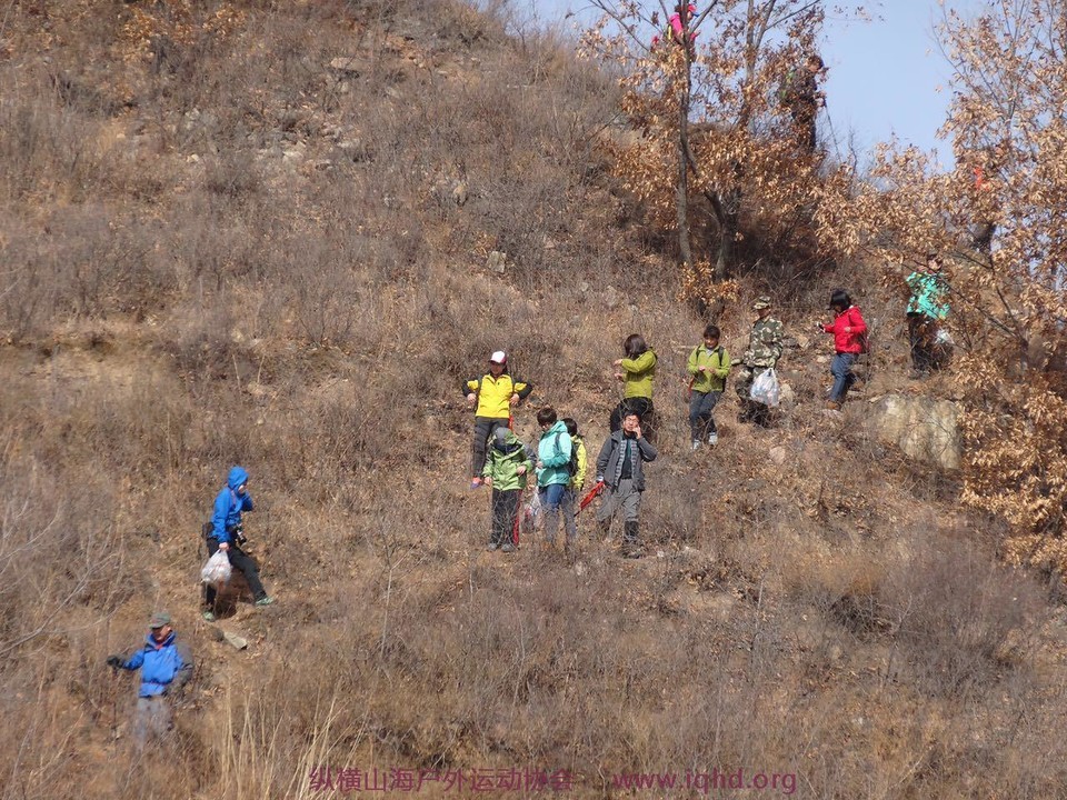 1bcfbccea79bd37d3d5749923757c3a2_org