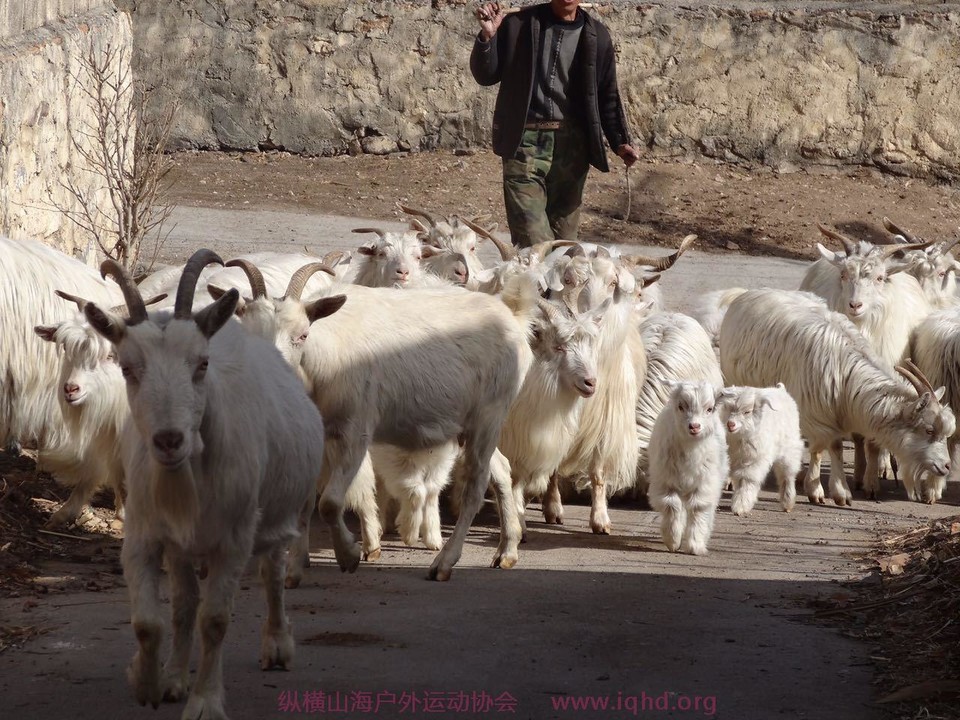 fc59277236351453eaa3d53962b9148e_org