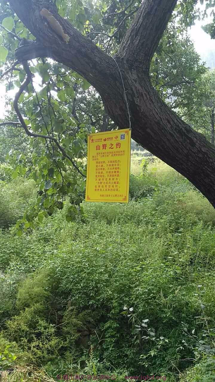 mmexport1505560816352