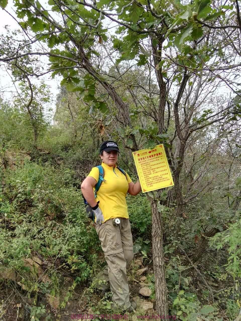 mmexport1505728346163