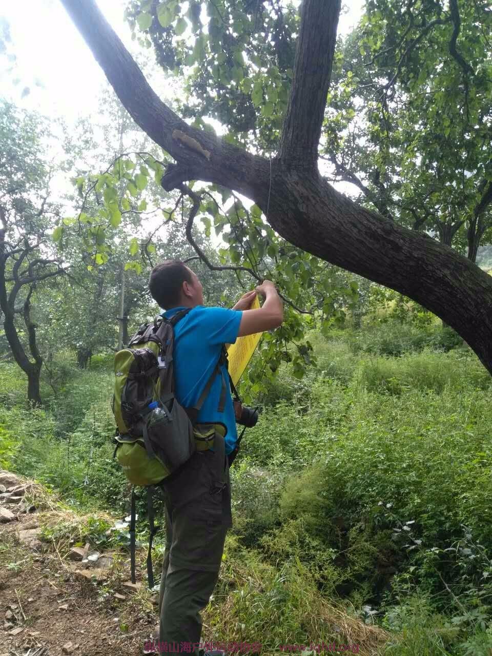 mmexport1505560799048