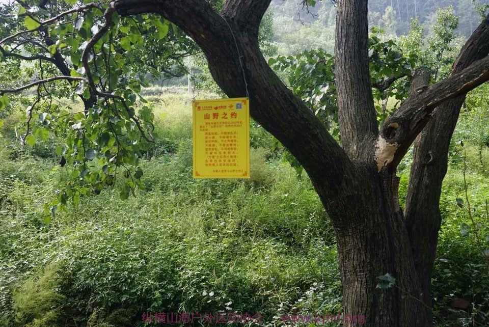 mmexport1504359788388