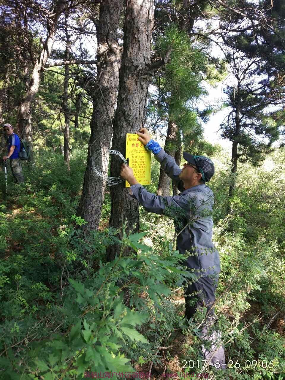 mmexport1503740726299