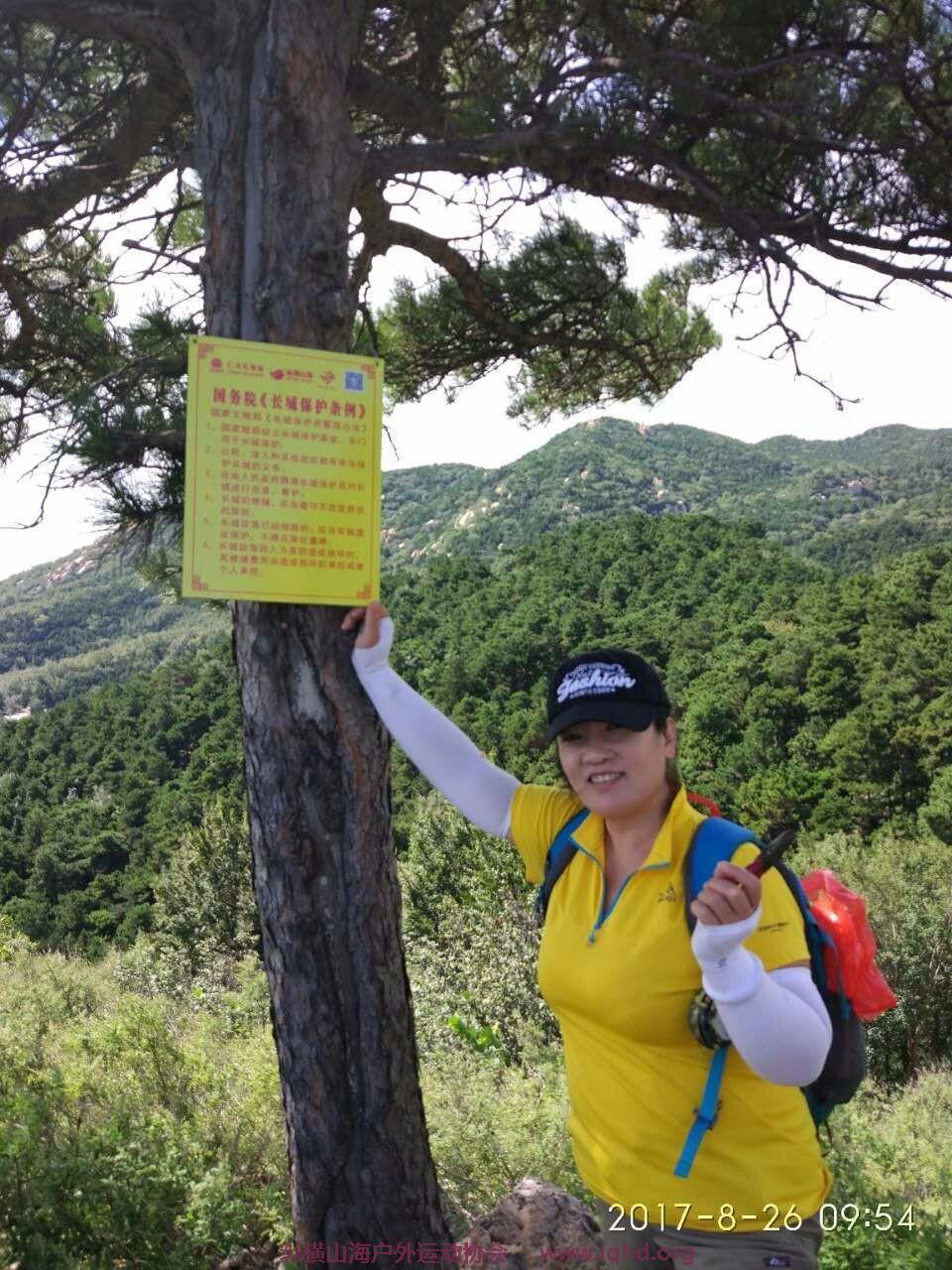 mmexport1503740722215