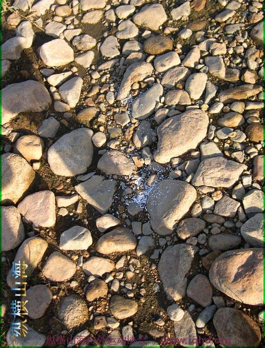 第一届hash跑步 034