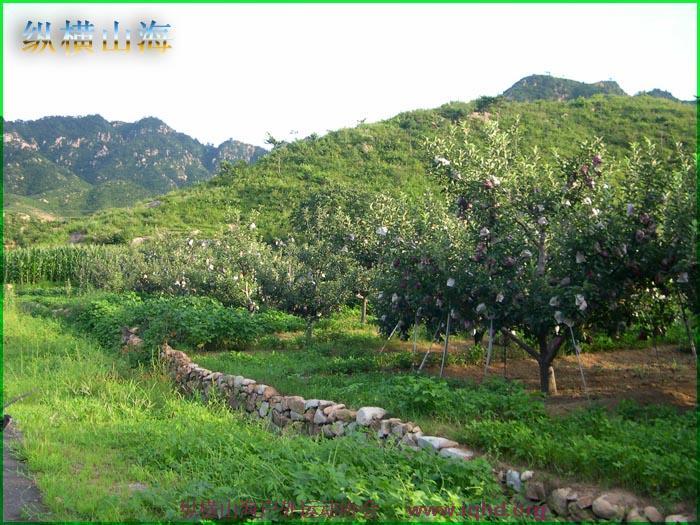 第一届hash跑步 045