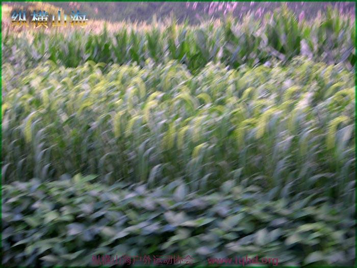 第一届hash跑步 047