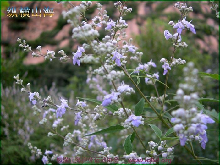 第一届hash跑步 075