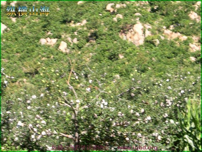 第一届hash跑步 101