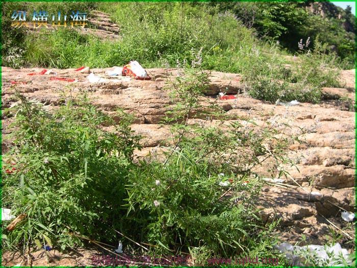 第一届hash跑步 114