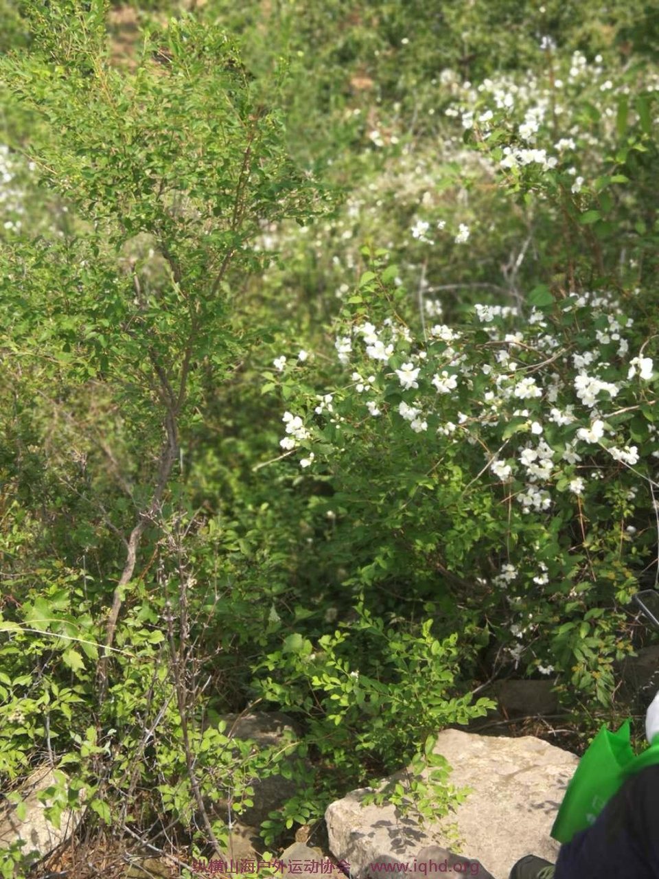 1yAQ9dPMau0DhCxvNrzU8_08W7YiK0sG7teMN757_1KjMSk9JY9qaaO4qJwmsm72