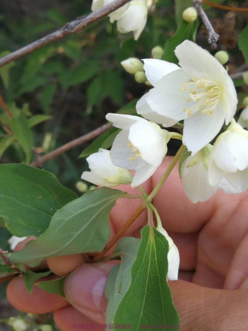 CSVvYSCQuYPXjAQepjLvwjNF-XiMKJW9CBaU6dVFoaadE9aVDwtI8vf8pflqQYSY