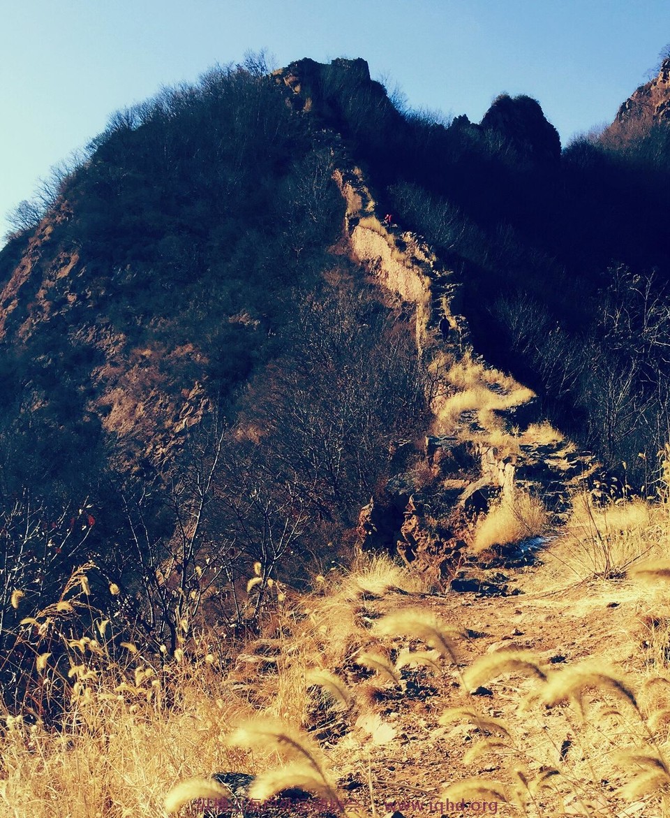 E9B039E0-115D-49D0-8D2A-7C3F2BE67B28