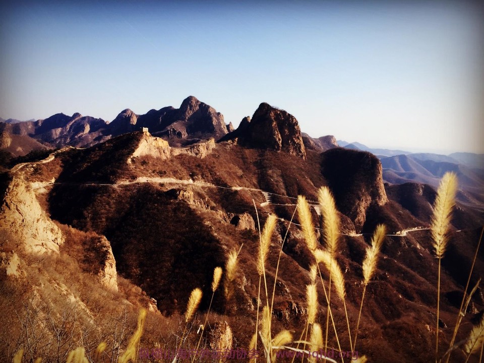 70A46B12-8352-4FE9-A7FF-B9E8230AFAE1