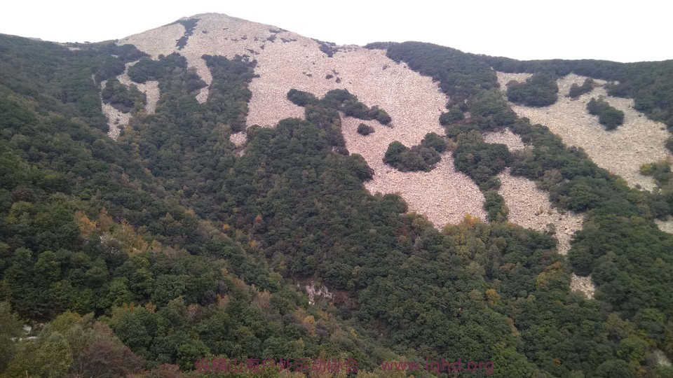 K48cyAXXQjdCBJHjMk8_V4ES9Y_SX-zGzfP_jEKmWL8ma-1KdNMpxd6wYiLmqUci