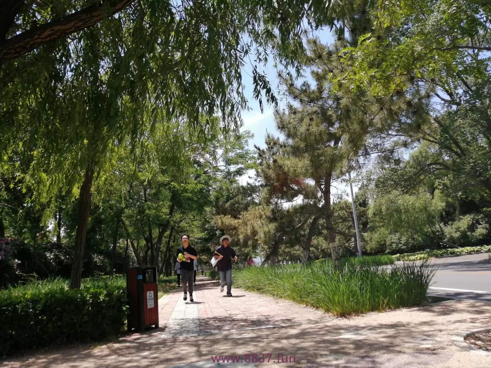 k95Y7MErDTGf73m_IUl_bndcTfzzf20Tl5xzuuGtPz_aU4pjuXg8LOLv7v0lkNlq